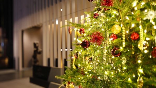 【ザ・キャピトルホテル 東急】ザ・キャピトル クリスマス 2020 ～Phoenix Winter～