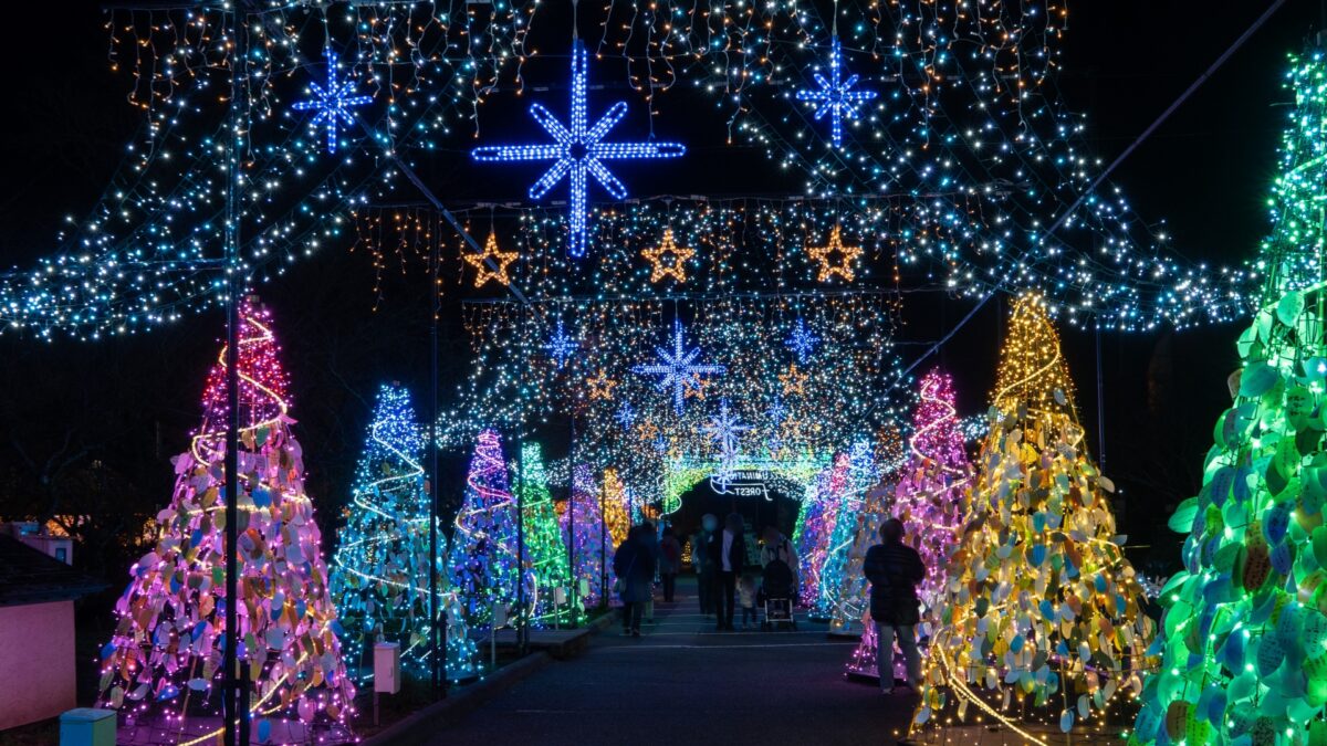 【夜景コース】時之栖イルミネーション&いちご狩り&熱海グルメを満喫